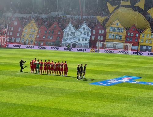 Turinfo Lille borte